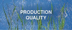 Production Quality
