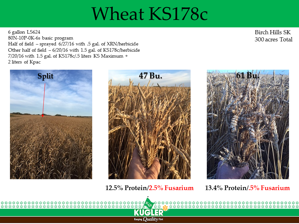 Wheat 178c