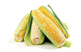 Corn