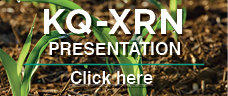 KQXRN Presentation