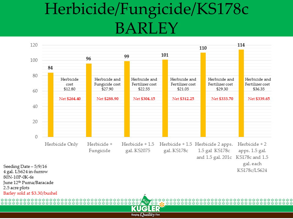 Barley 178c