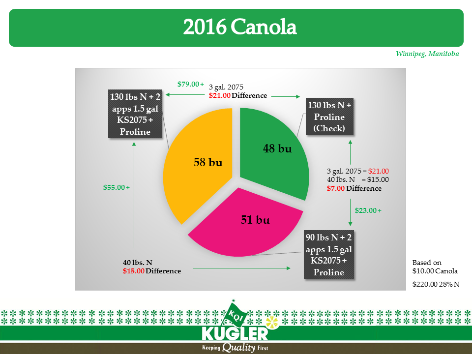 Canola Proline