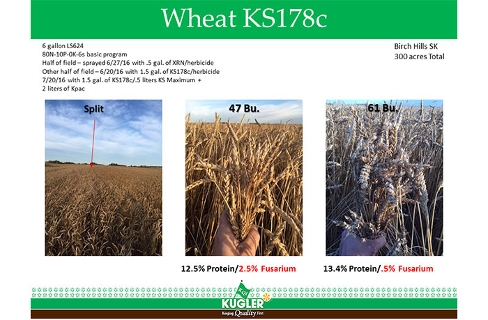 Wheat Fungicide