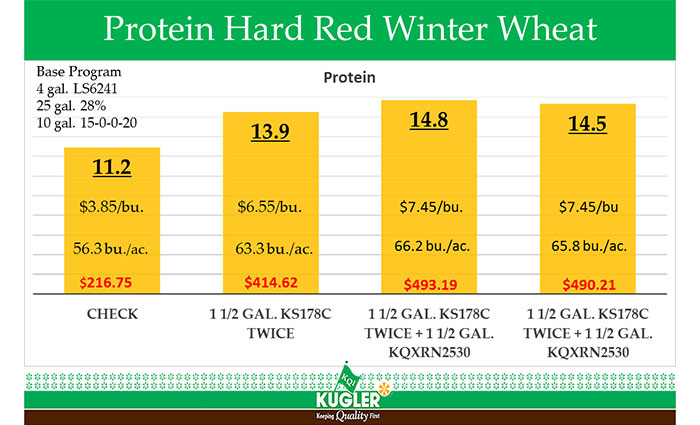 Wheat Protien