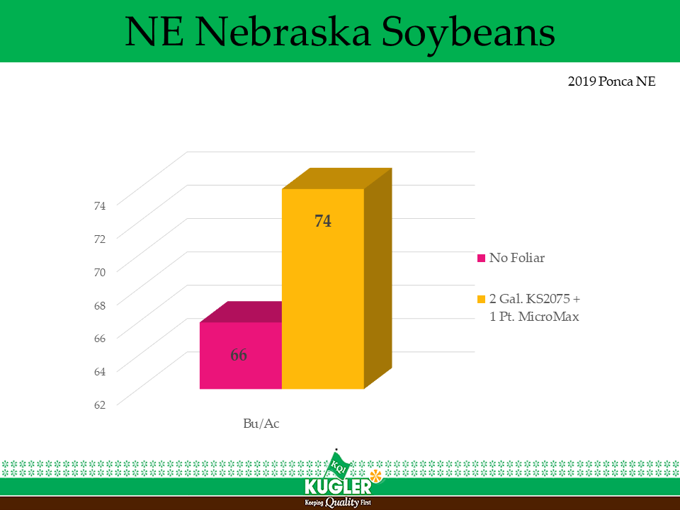 Soybean12