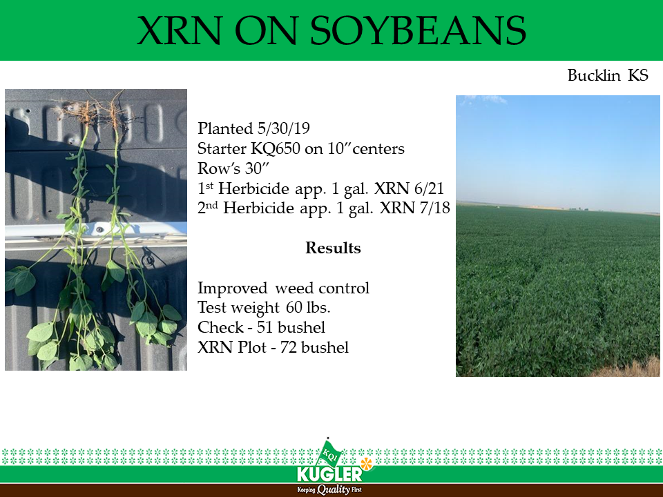 Soybean13