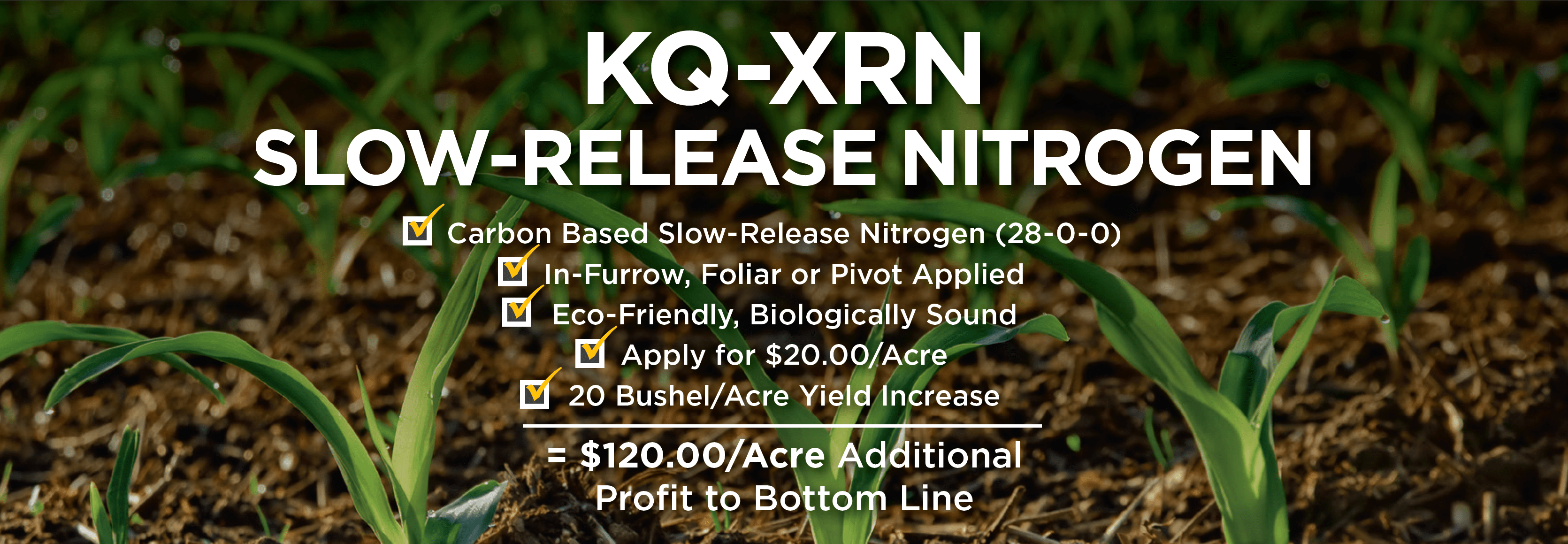 KQ XRN Nitrogen